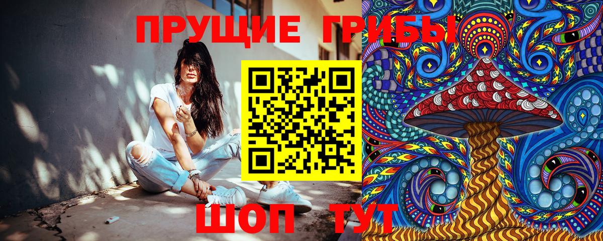 Родники  Галлюциногенные грибы мицелий  Вход с VPN 